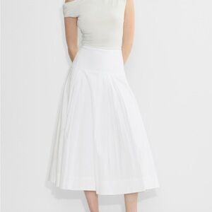 Aritzia Chandelier poplin skirt